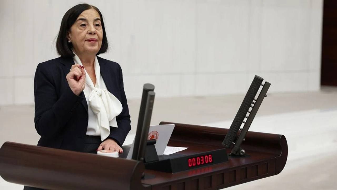 Jale Nur Süllü’nün emekli veteriner hekimlere ilişkin teklifi Meclis’ten geçmedi