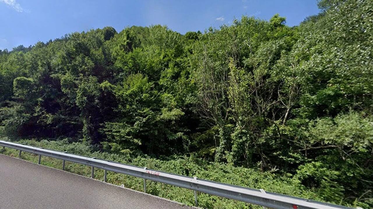 Eskişehir’de belediye ormanlarıyla ilgili kritik karar meclisten geçti