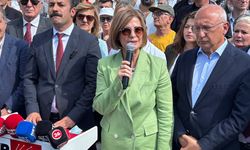 Ayşe Ünlüce: “Hukuki güvenlik kalmamıştır, çözüm sandıktır”