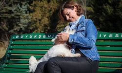 Ayşe Ünlüce'den sokak hayvanları için anlamlı çağrı