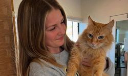 Avrupa Birliği’nden kedi ve köpekler için önemli karar