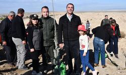 Beylikova’da 80 dönümlük alanda 5 bin adet fidan dikildi