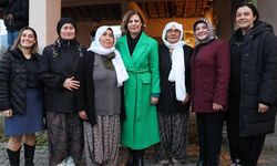 Eskişehir'de 180 üreticiye toplam 9 bin 80 zeytin fidanı dağıttılar