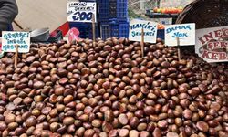 Eskişehir’de kestane fiyatı satışları düşürdü