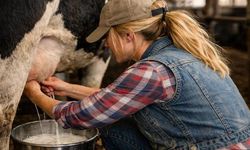 Eskişehir’de süt üreticilerini ilgilendiren ödeme dün yapıldı