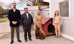 Eskişehir'de tedavi altındaki sokak hayvanları için kulübe bağışı yapıldı