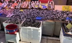 Eskişehir halkının gözü o tarihte: Balıkçılar bu sezon umutlu