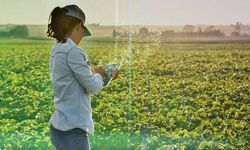 Eskişehirli çiftçilere uyarı: Yeni kayıt sistemi zorunlu hale getirildi