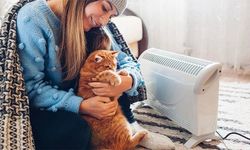 Evcil hayvan sahiplerine uyarı: Son gün 31 Aralık