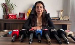 Öznur Özmen: "Hastaneler kişisel menfaat alanları değildir"