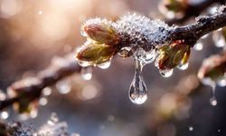 Cemre tarihleri belli oldu: 2026’da bahar hangi gün kapıyı çalacak?