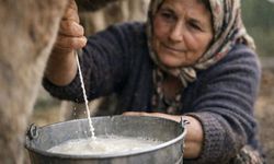 Eskişehir’de süt üreticisi ayakta kalamıyor; Yüksel Gedik’ten destek çağrısı