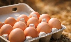 Salmonella alarmı: Yaklaşık 19 milyon yumurta geri çağrıldı