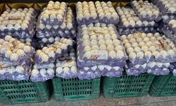 Eskişehir'de yumurta fiyatları çakıldı: 75 liradan düştü