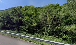 Eskişehir için dikkat çeken karar; Bazı alanlar orman sınırı dışına çıkarıldı