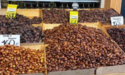 Eskişehir’de Ramazan öncesi hurmaya talep arttı; Fiyatlar değişkenlik gösteriyor