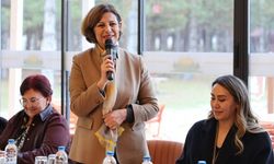 Eskişehir’de sokak hayvanlarıyla ilgili yetki ve sorumluluklar yeniden şekilleniyor