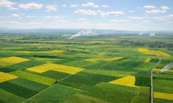 Alpu Termik Santrali davasında yeni gelişme; Mahkemeden beklenen karar çıktı