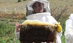 Eskişehir'de 120 yeni arıcı yetişiyor