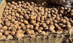 Eskişehirde bayram baklavası mesaisi başladı; Ceviz fiyatları belli oldu