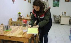 Eskişehir'de gıda denetimleri; 554 bin lira ceza kesildi