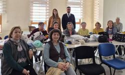 Eskişehir'de mahalle mahalle gezerek kadınlara hakları anlatılıyor