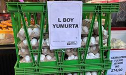 Eskişehir'de Ramazan Bayramı öncesi yumurta fiyatlarında büyük gerileme görüldü