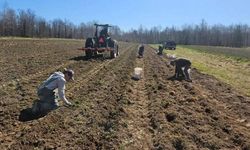 Eskişehir'de tarım işçisinin 2025 kazancı belli oldu; Kadın ve erkek ücreti arasındaki fark dikkat çekti