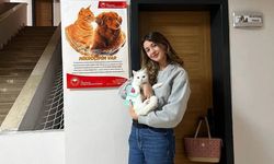 Eskişehir’de yüzlerce sokak hayvanı için o önemli adımlar atıldı