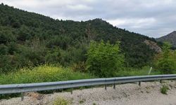 Eskişehir’in doğası için büyük tehlike; On binlerce futbol sahası büyüklüğünde alan madenlere açıldı