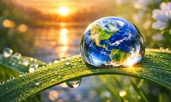 Orman ve su kaynakları tehdit altında; Türkiye için acil önlem çağrısı