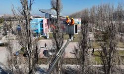 Sazova Parkı'nda ağaç değişimi; Riskli bölgeler için karar verildi