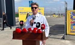 Sokak hayvanları için dev iş birliği; Eskişehir’in yeni tesisi kapılarını açtı