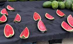 Bakan çok alan yok; Eskişehir’de sezonun ilk karpuzuna rağbet düşük kaldı