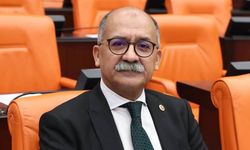 CHP’li İbrahim Arslan: "8 milletvekilliği boş, ara seçim anayasal zorunluluktur"