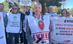 Emekli veteriner hekimlerden maaş ve özlük hakları için düzenleme çağrısı