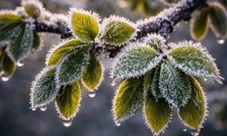 Eskişehir’de 3 gün sürecek don riski; Valilik tarih verdi