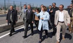 Eskişehir’de 400 hayvan kapasiteli modern bakımevi hizmete açıldı