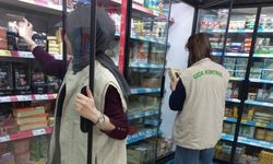 Eskişehir'de mart ayında yapılan denetimlerde yarım milyonluk ceza kesildi