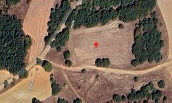 Mihalgazi Belediyesi mülkiyetindeki üç tarlayı satışa çıkarıyor