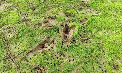 Eskişehir Stadyumu’ndaki zemin sorunu için ihale süreci başladı