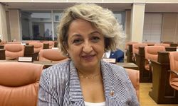 Fikriye Güven Zaptiye'den dikkat çeken çıkış: "Mali veriler yanlış yorumlanıyor"