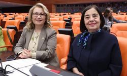 Jale Nur Süllü’den torba kanun tepkisi: "Yetkiler merkezileştiriliyor, denetim zayıflıyor"