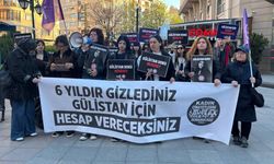 Kadın Cinayetlerini Durduracağız Platformu: "Gülistan Doku için Eskişehir'den haykırıyoruz"