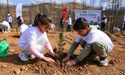 Seyitgazi’de yangının izleri siliniyor: Çocuklar geleceğe nefes oldu