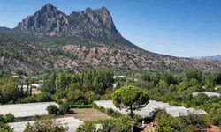 TEMA Vakfı'ndan Alpagut-Atalan uyarısı; Doğa ve tarım tehdit altında