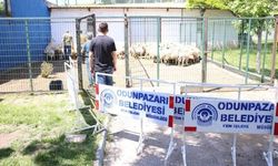 Eskişehir’de ekonomik tablo kurban kesim rakamlarına yansıdı