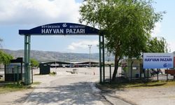 Eskişehir'de Hayvan Pazarı açılıyor