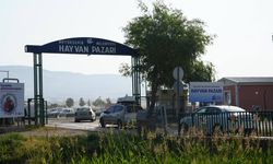 Eskişehir’de kurban kesim hazırlığı tamamlandı: 3 bin küçükbaş satışta