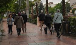Eskişehir’de palmiyeler yeniden Köprübaşı’nda